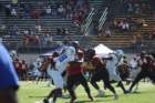 img_2438_small.jpg