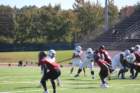 img_2451_small.jpg