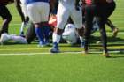 img_2600_small.jpg