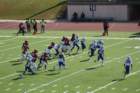 img_4231_small.jpg