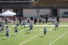 img_4233_small.jpg
