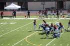 img_4242_small.jpg