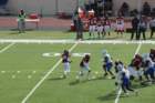 img_4281_small.jpg