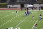 img_4456_small.jpg