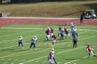 img_4589_small.jpg