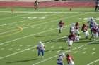 img_4601_small.jpg