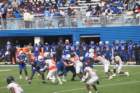 img_2977_small.jpg