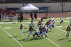 img_4552_small.jpg