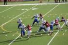 img_4610_small.jpg
