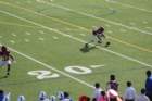 img_4646_small.jpg