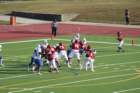 img_4689_small.jpg