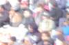 photo156_small.jpg