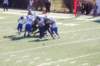 photo336_small.jpg