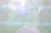 photo678_small.jpg