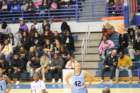 img_1686_small.jpg