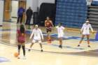 img_8536_small.jpg