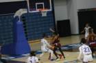 img_8548_small.jpg