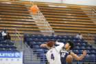 img_8242_small.jpg