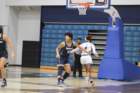 img_8252_small.jpg