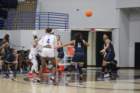 img_8256_small.jpg