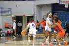 img_3471_small.jpg