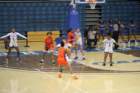 img_3556_small.jpg