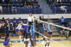 img_3833_small.jpg