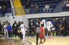 img_4446_small.jpg