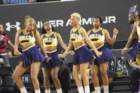 img_0487_small.jpg