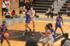 img_6595_small.jpg