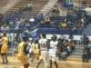 photo378_small.jpg