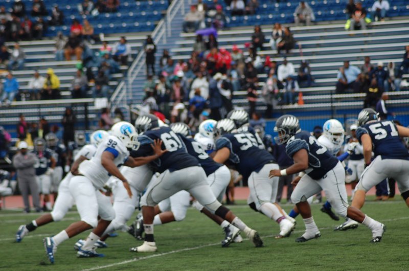 photo291.jpg