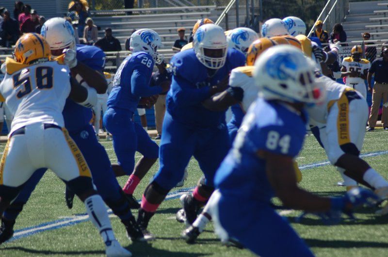 photo773.jpg