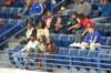 photo80_small.jpg