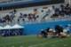 dsc_0028_small.jpg