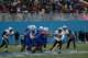 dsc_0196_small.jpg