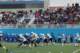 dsc_0220_small.jpg