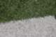 dsc_0490_small.jpg