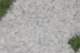 dsc_0491_small.jpg
