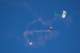 dsc_0505_small.jpg