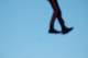 dsc_0520_small.jpg