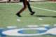 dsc_0521_small.jpg