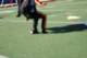 dsc_0535_small.jpg