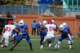 dsc_0590_small.jpg