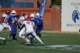dsc_0593_small.jpg