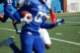 dsc_0606_small.jpg