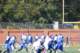 dsc_0715_small.jpg