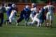 dsc_0807_small.jpg