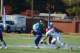 dsc_0809_small.jpg