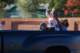 dsc_0867_small.jpg